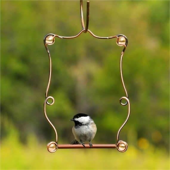Copper Bird Perch